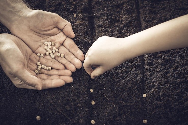 Hands of an adult holding seeds while a child plants them in fertile soil, symbolizing the transfer of farming knowledge and sustainable growth.